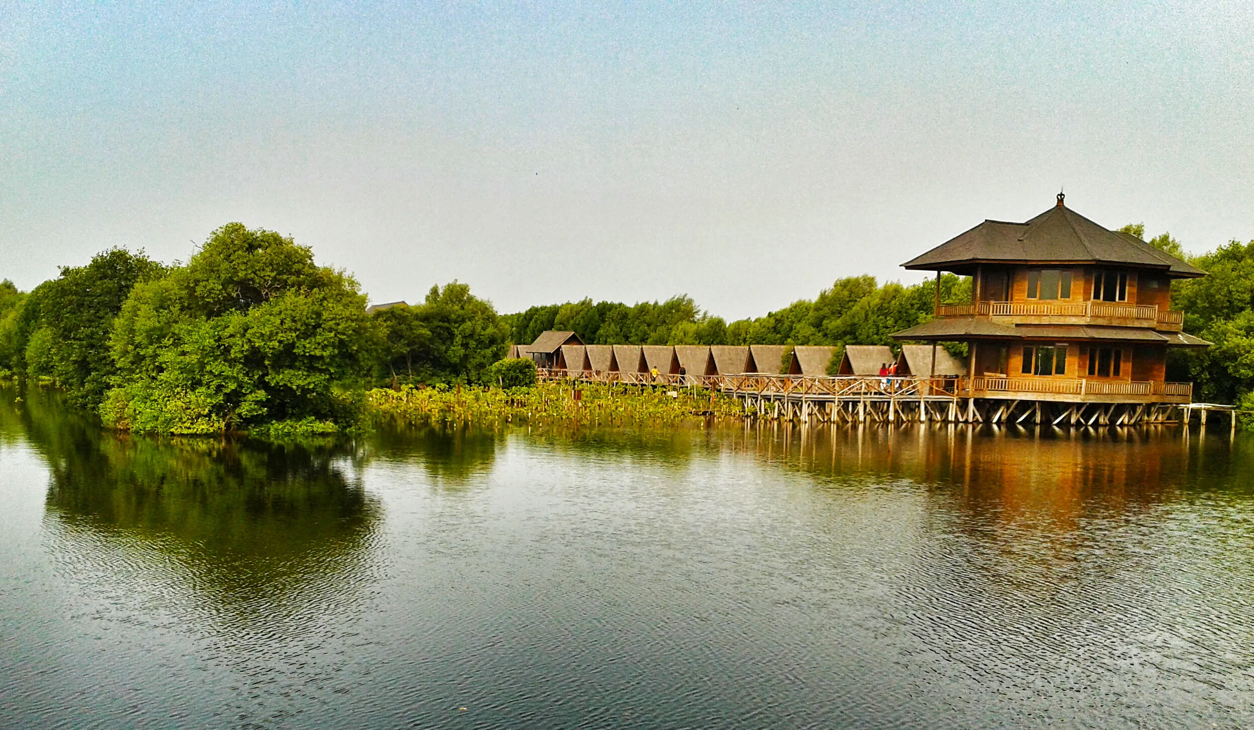 07 hutan mangrove pantai indah kapuk 2
