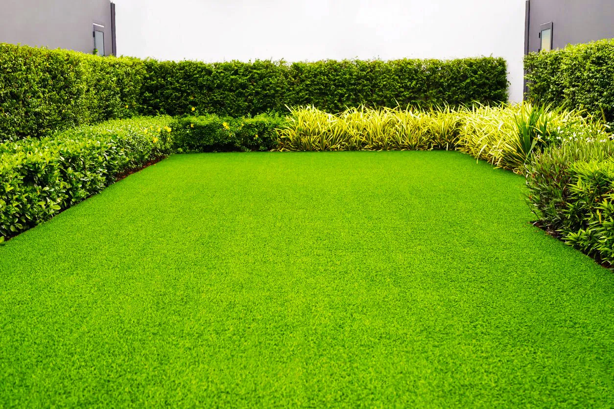 Halaman rumah dengan paving rumput yang menyerap air sumber 99 co