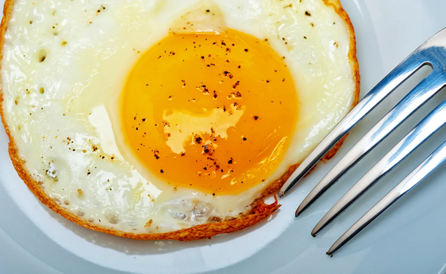 sarapan telur