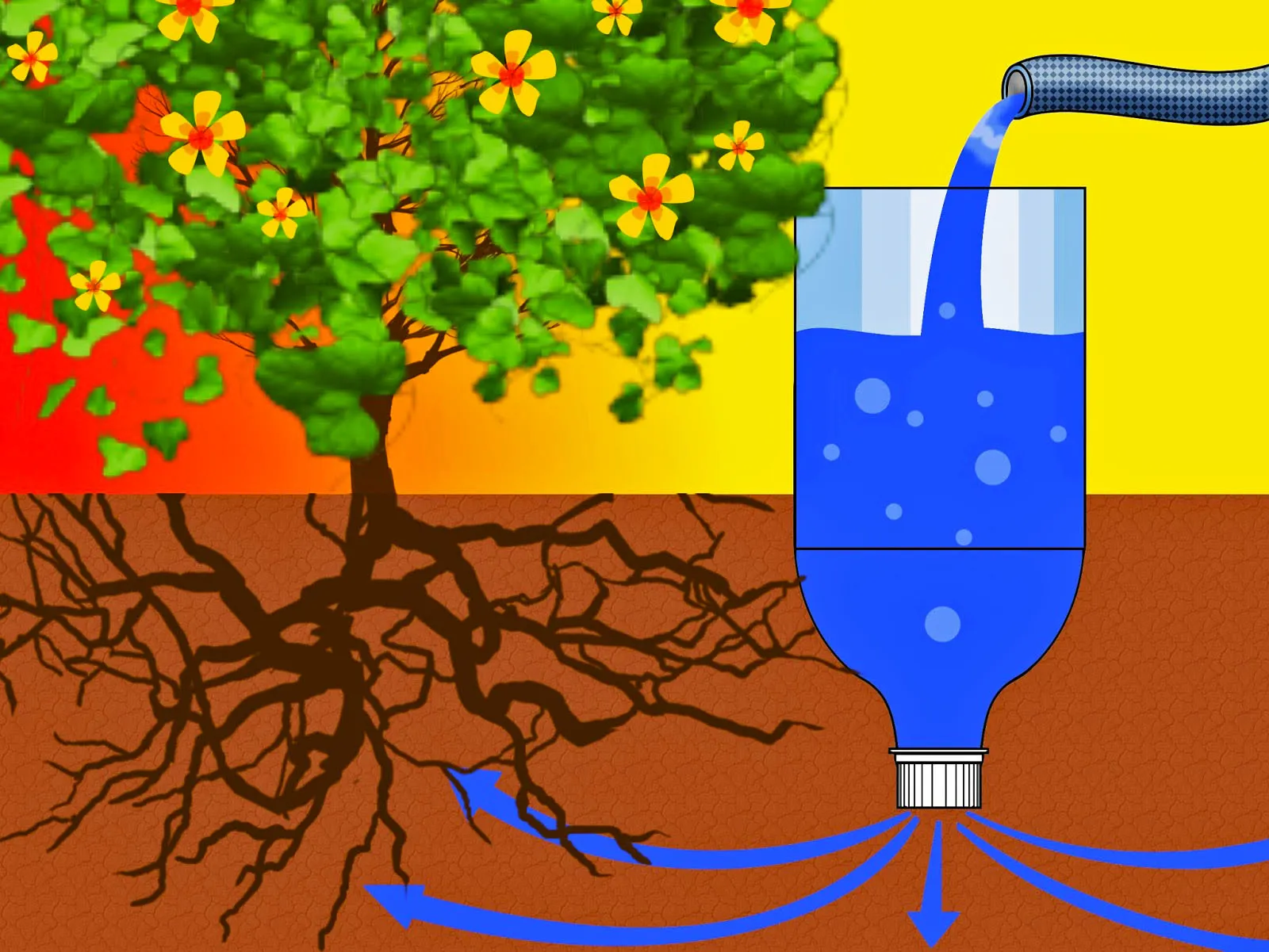 02 Make a Drip Irrigator from a Plastic Bottle Step 4