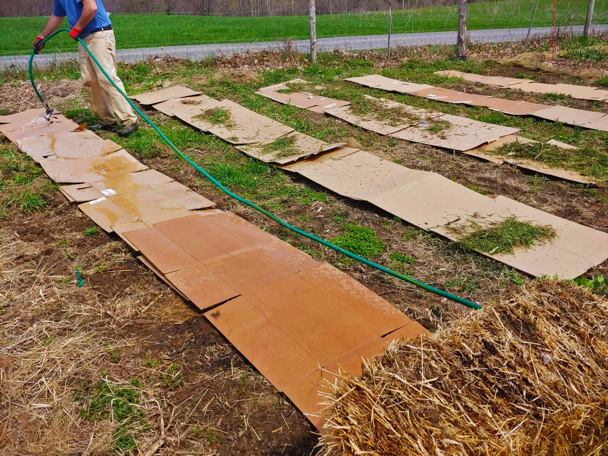 09 Sheet Mulch Wetting Cardboard