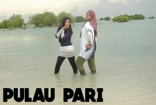 pulau pari