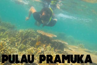 pulau pramuka