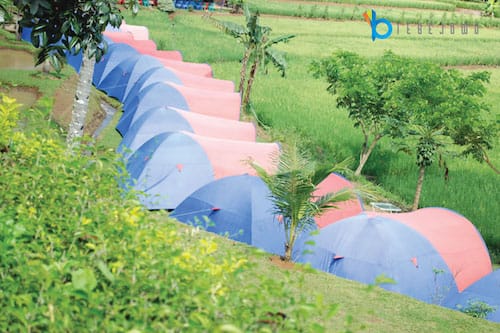 camp citarik
