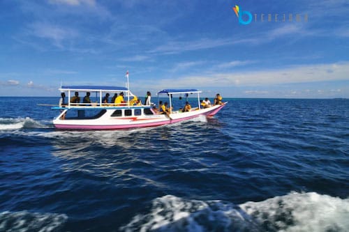 wisata jateng karimunjawa