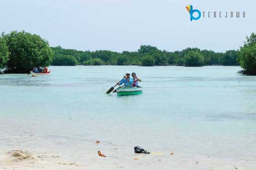 wisata bakau pulau pari