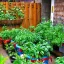 Ilustrasi Kebun Di Pekarangan Rumah