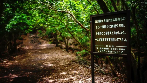 Ilustrasi Hutan Bunuh Diri Di Jepang