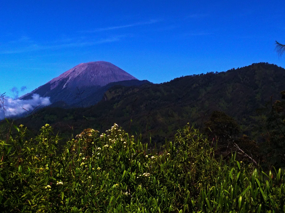 Puncak Gunung Semeru menjulang di Jawa Timur