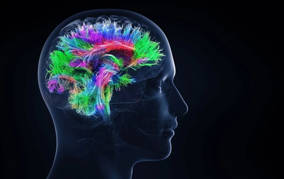 Ilustrasi neuroplasticity