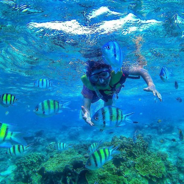 Amazing Keindahan Bawah Laut Pulau Tidung Kepulauan Seribu