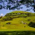 Pemandangan perbukitan Hobbiton lokasi syuting Lord of the Rings