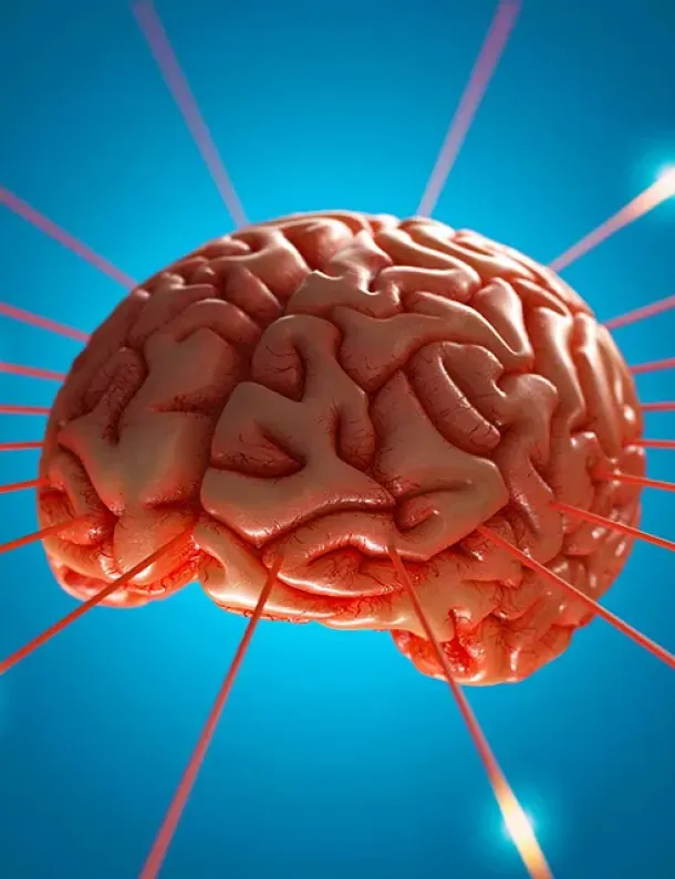 Ilustrasi Otak Yang Menyusut