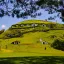 Pemandangan perbukitan Hobbiton lokasi syuting Lord of the Rings